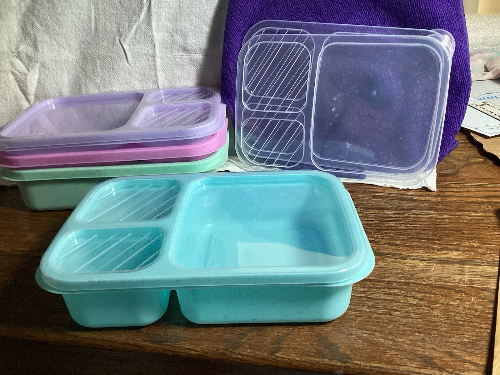 4 Multicompartment Food Storage/Bento-style Pastel Bxs w/Lids New 3 Compartments