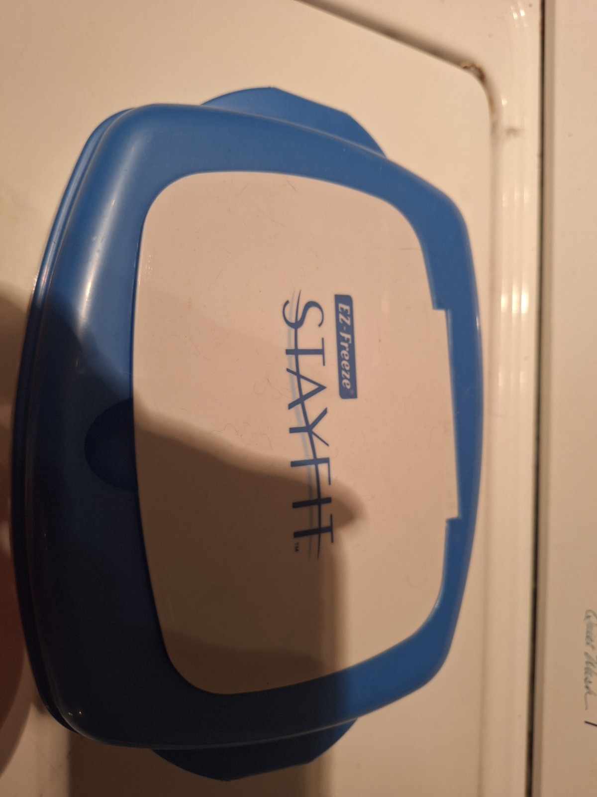 EZ Freeze STAYFIT Lunch Box Plus 2 extra containers for Tomatoes and Lemon