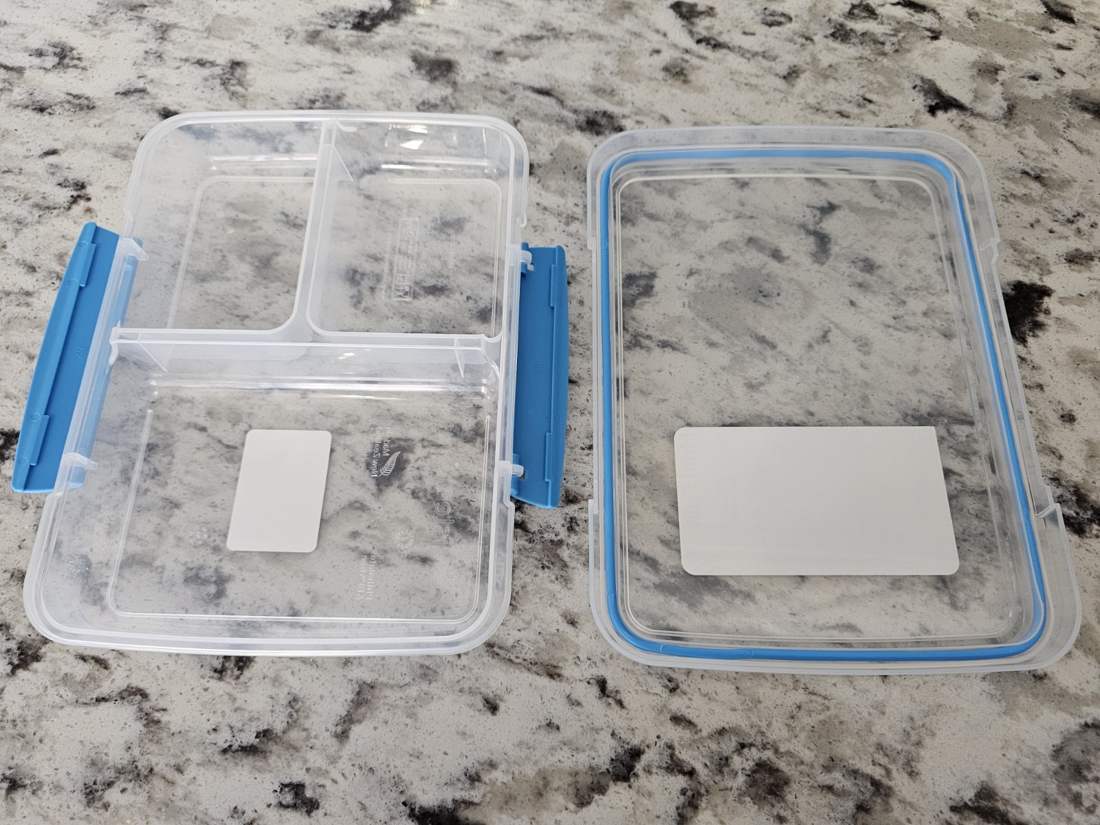 TO GO Collection 820mL Multi Split Food Storage Container – Baby Blue Clips New