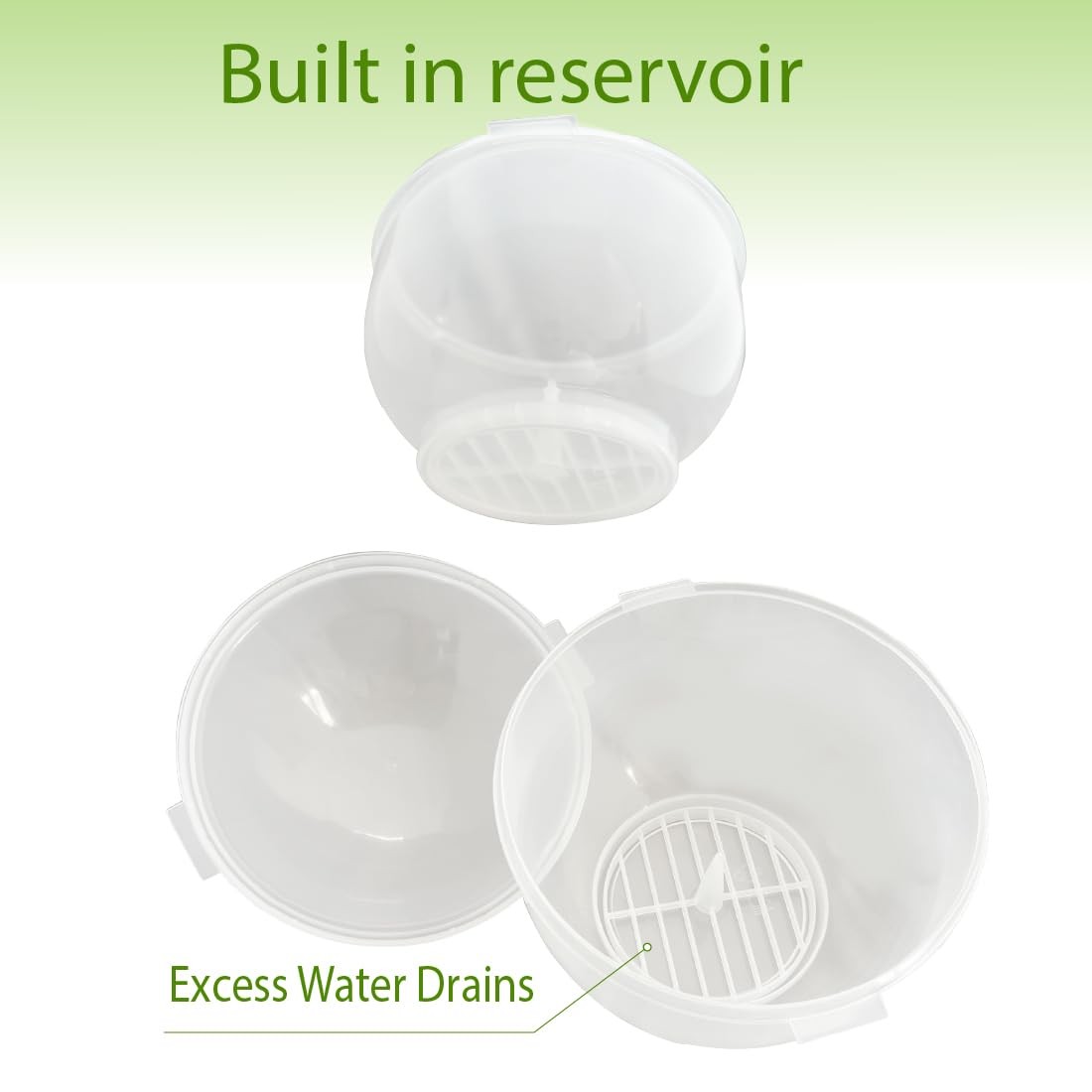 Trenton Gifts Lettuce And Vegatable Storage 7 inches by 8 inches, Clear