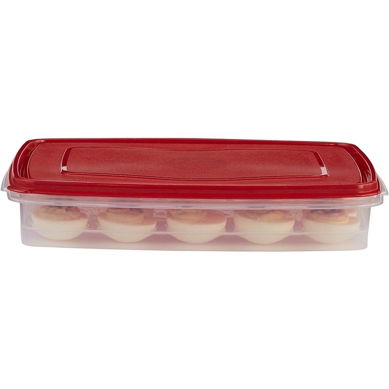 Egg Keeper Food Storage Container Holds 20 Jumbo Eggs Ideal Picnics & Home Use