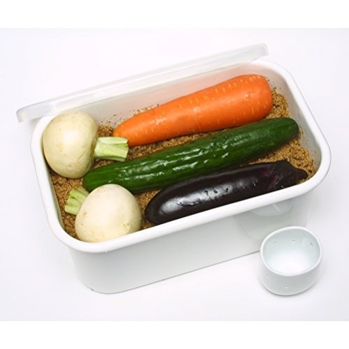 Noda Horo Enamel Bran Pickles Beauty Tk-32 Japan Import
