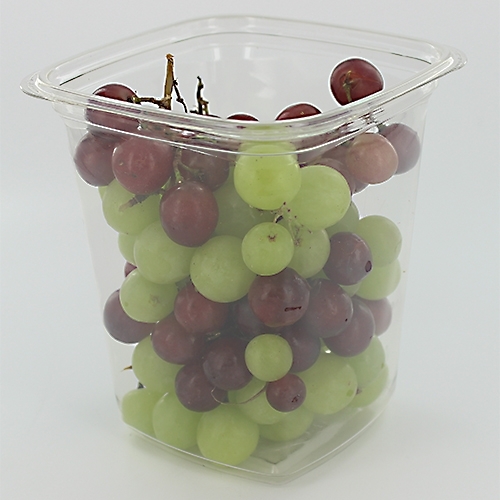 Pactiv PWP APET Plastic Tamper Resistant Square Cake Container, 32 oz., 480/Pack