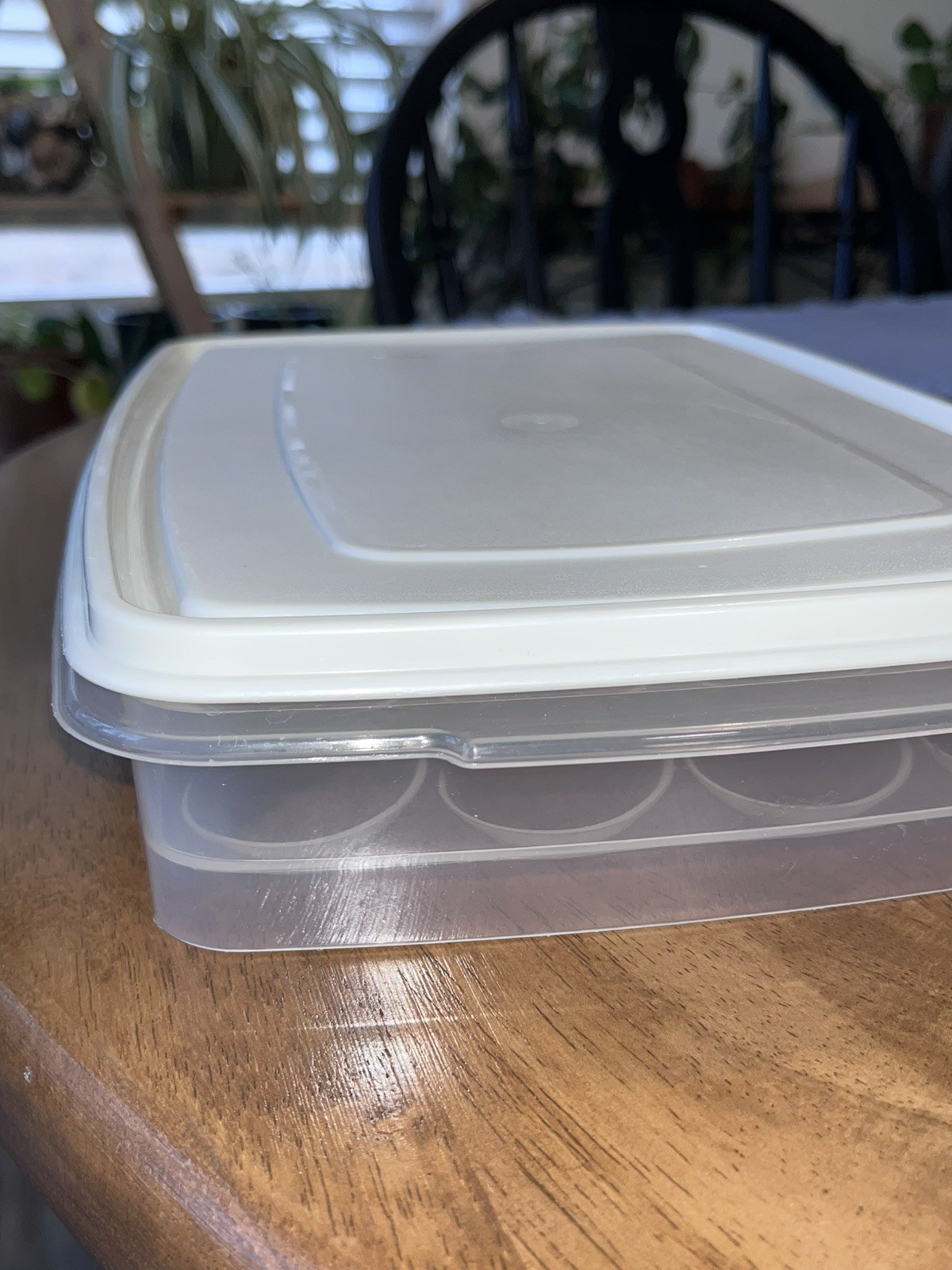 Rubbermaid Servin’ Saver Container #0070 #7 White Lid Deviled Egg Keeper USA