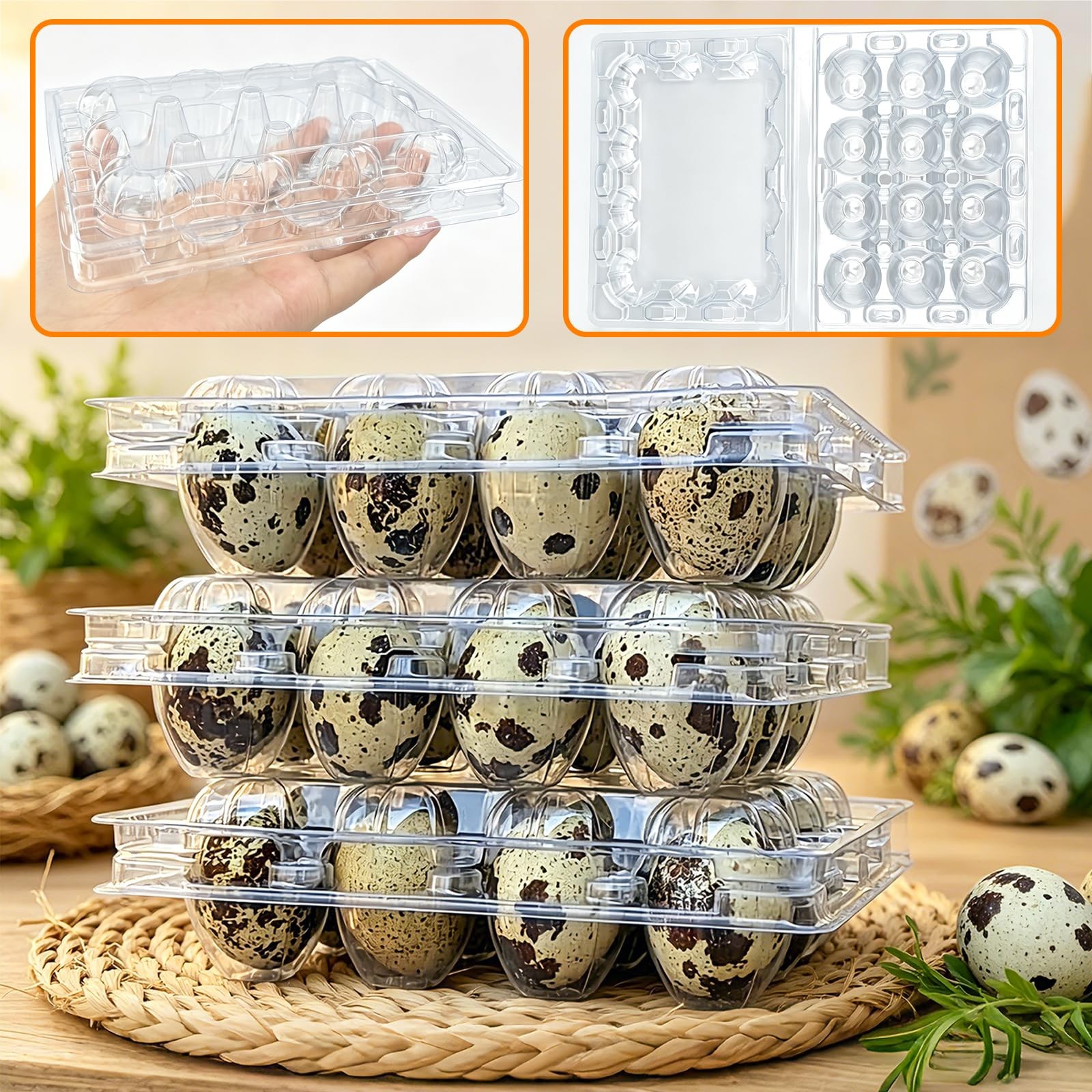 50 PCS Plastic Quail Egg Cartons 12 Grids Small Eggs Storage Holders