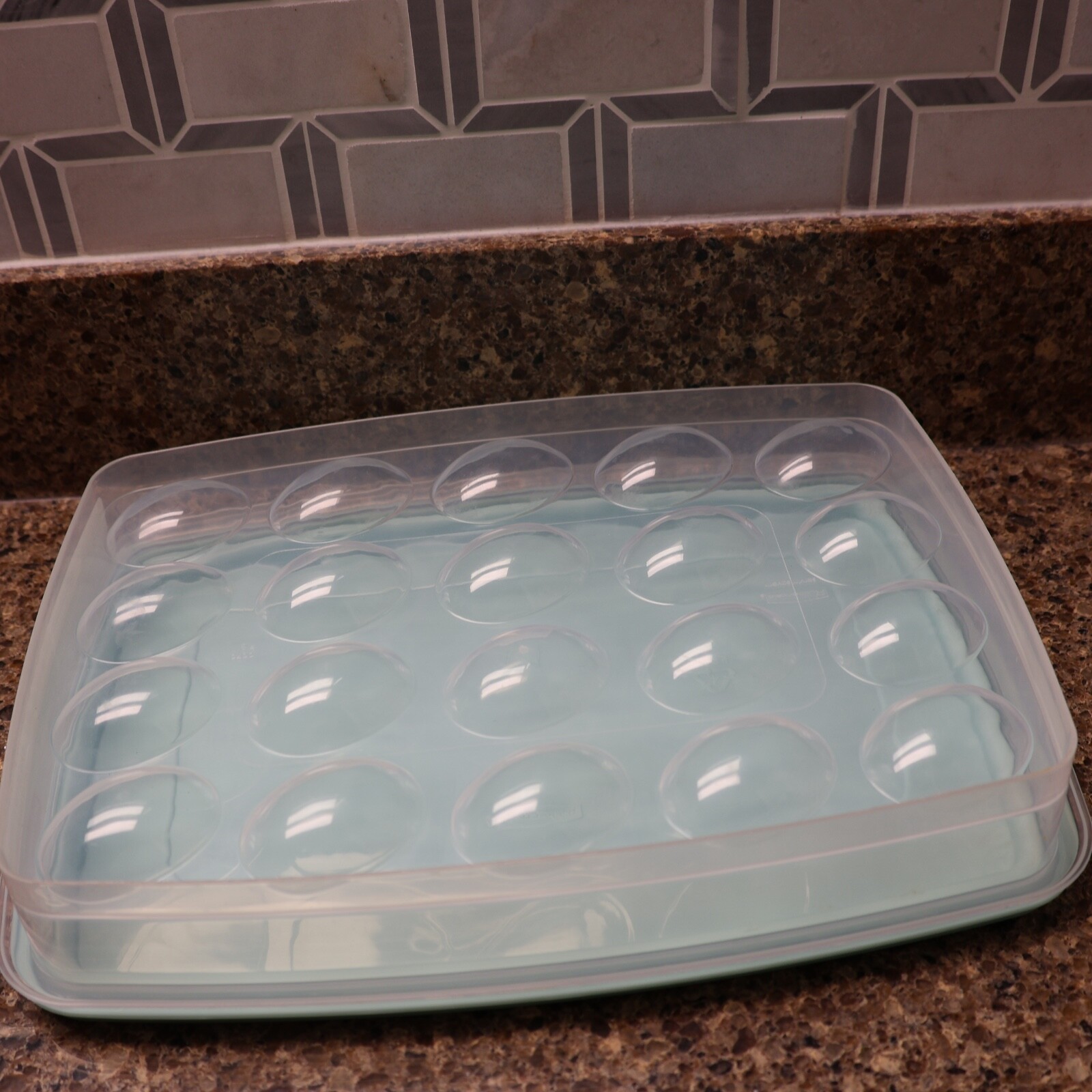RUBBERMAID #3910 EGG KEEPER TRAY CONTAINER HOLDS 20 EGGS BLUE LID