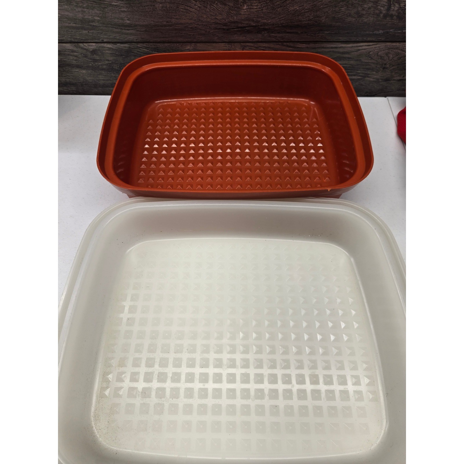 Vintage Tupperware Bacon Deli Meat Keeper 1294 Burnt Orange Sheer White USA