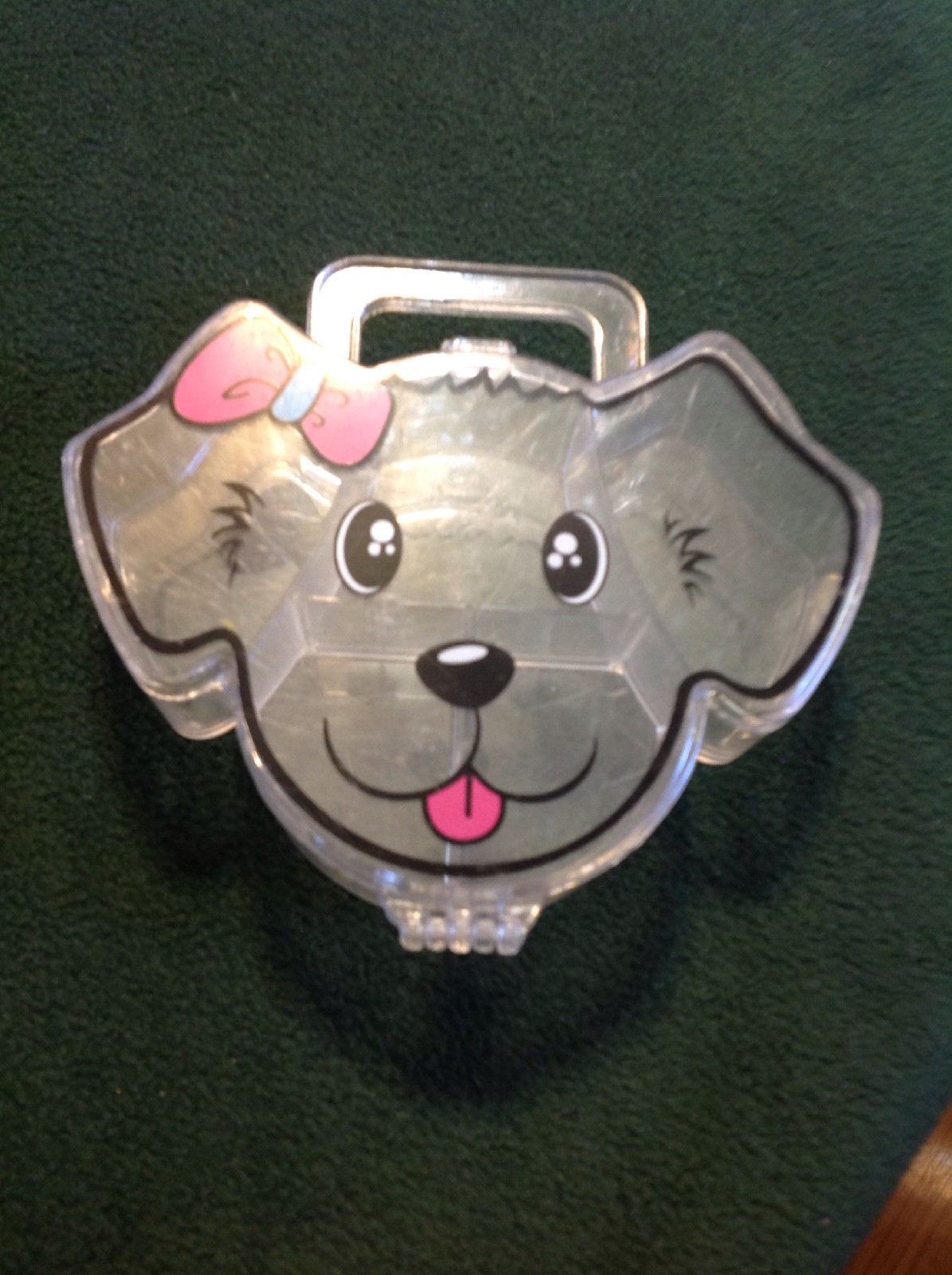 Clear Plastic Divided Dog Container – 4 Slots – With Carrying Handle – Very Cute