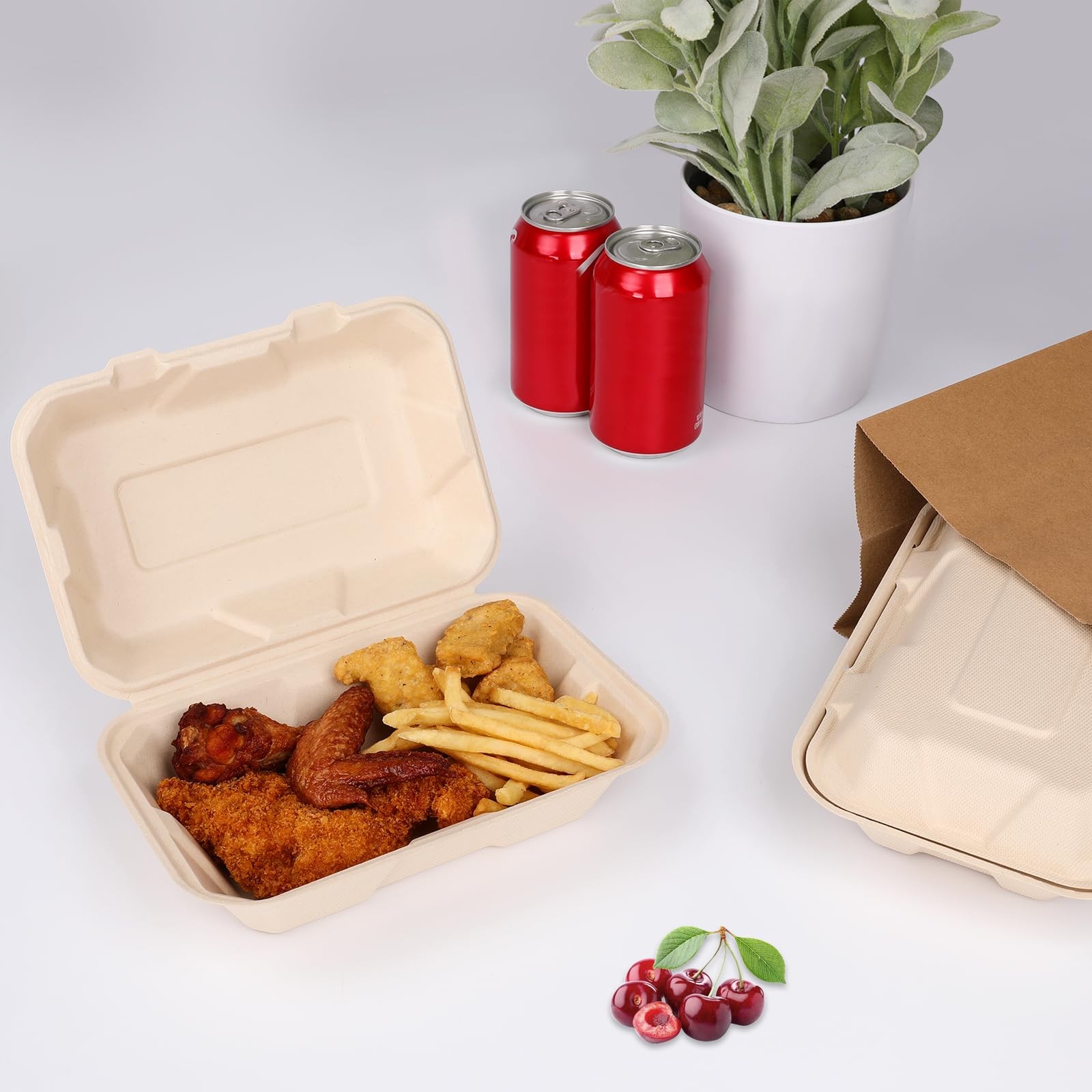 Compostable 50 Pack 9×6 Inch Takeout Lunch Containers with Lid To Go Take Out…