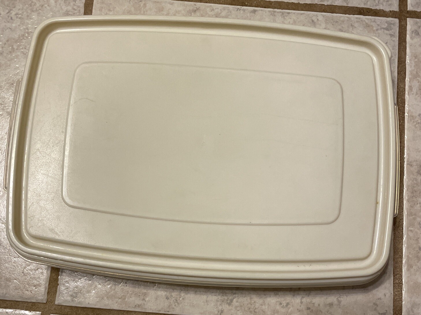 Rubbermaid Deviled Egg Keeper Tray Food Storage Container Hold 20 Eggs.