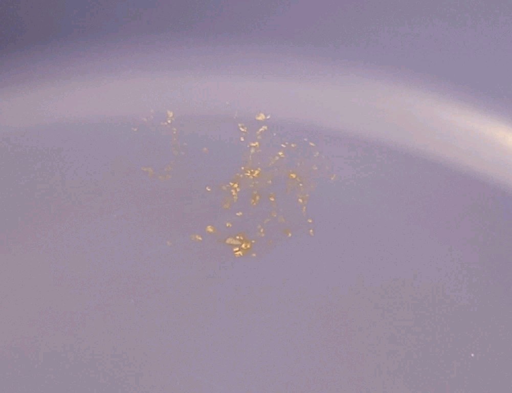 Tupperware Crystalwave Microwaveable 3 Part Divided Dish Vented Lid Blue Teal