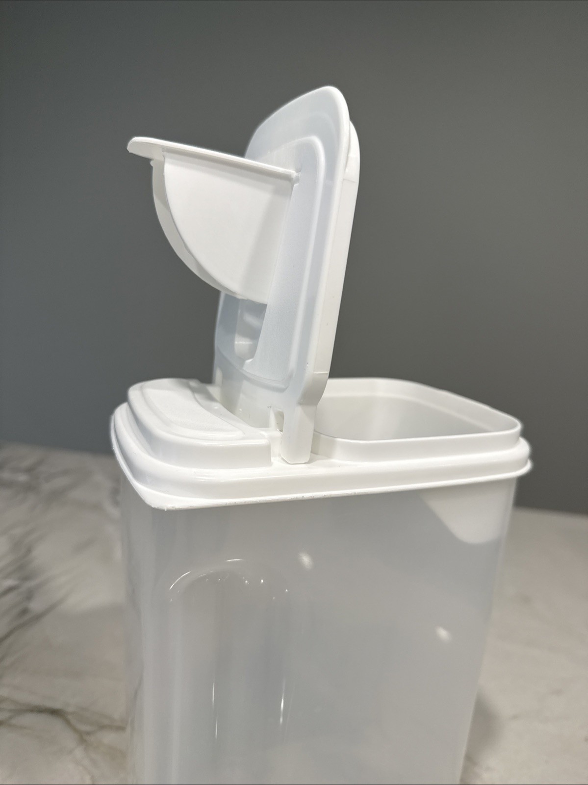 Buddeez Pantry Container 2 Quart Lid w/ Pour Spout Bag in All Purpose Dispenser