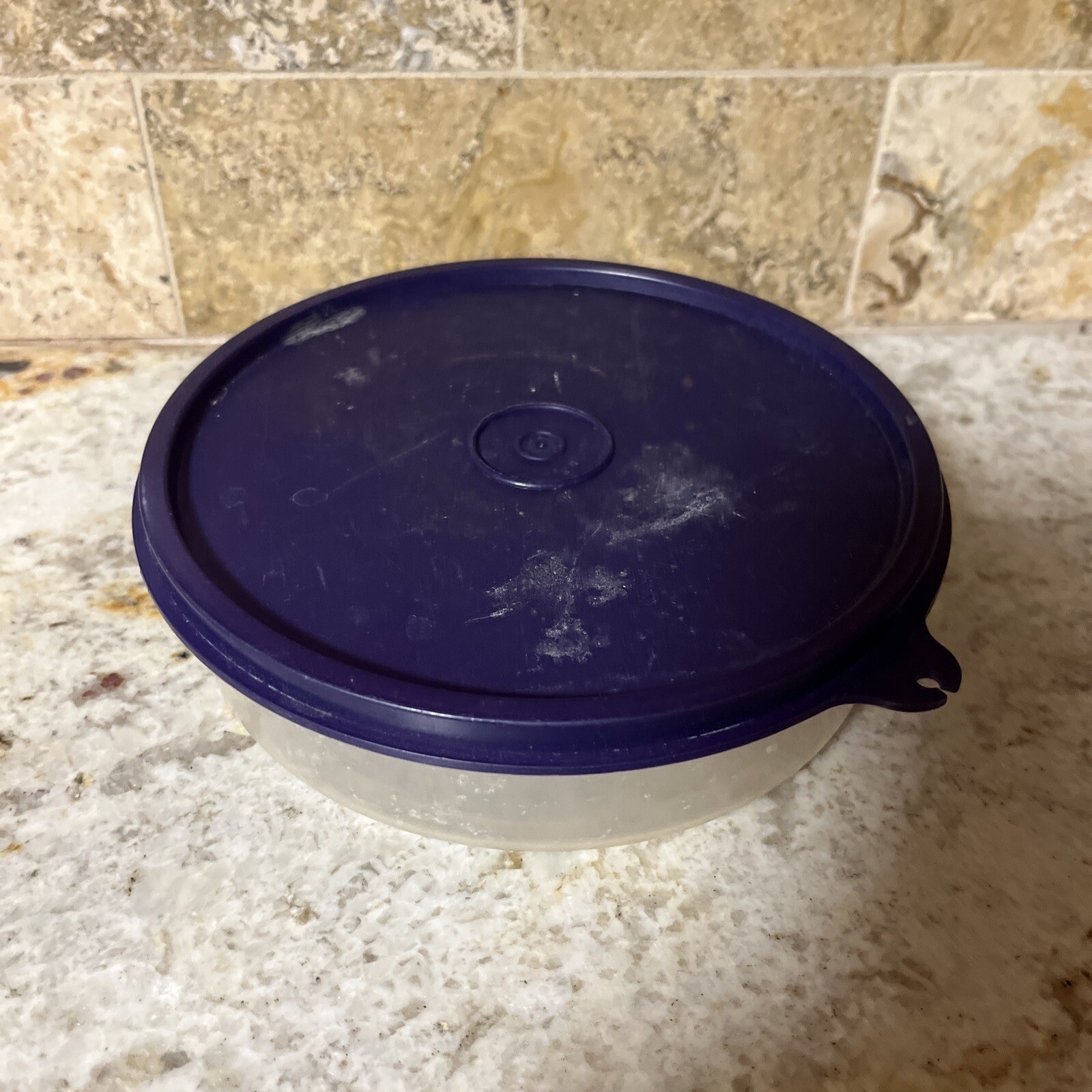 NEW Tupperware Clear Cereal Ice Cream Bowls with Purple Lids (SU106)