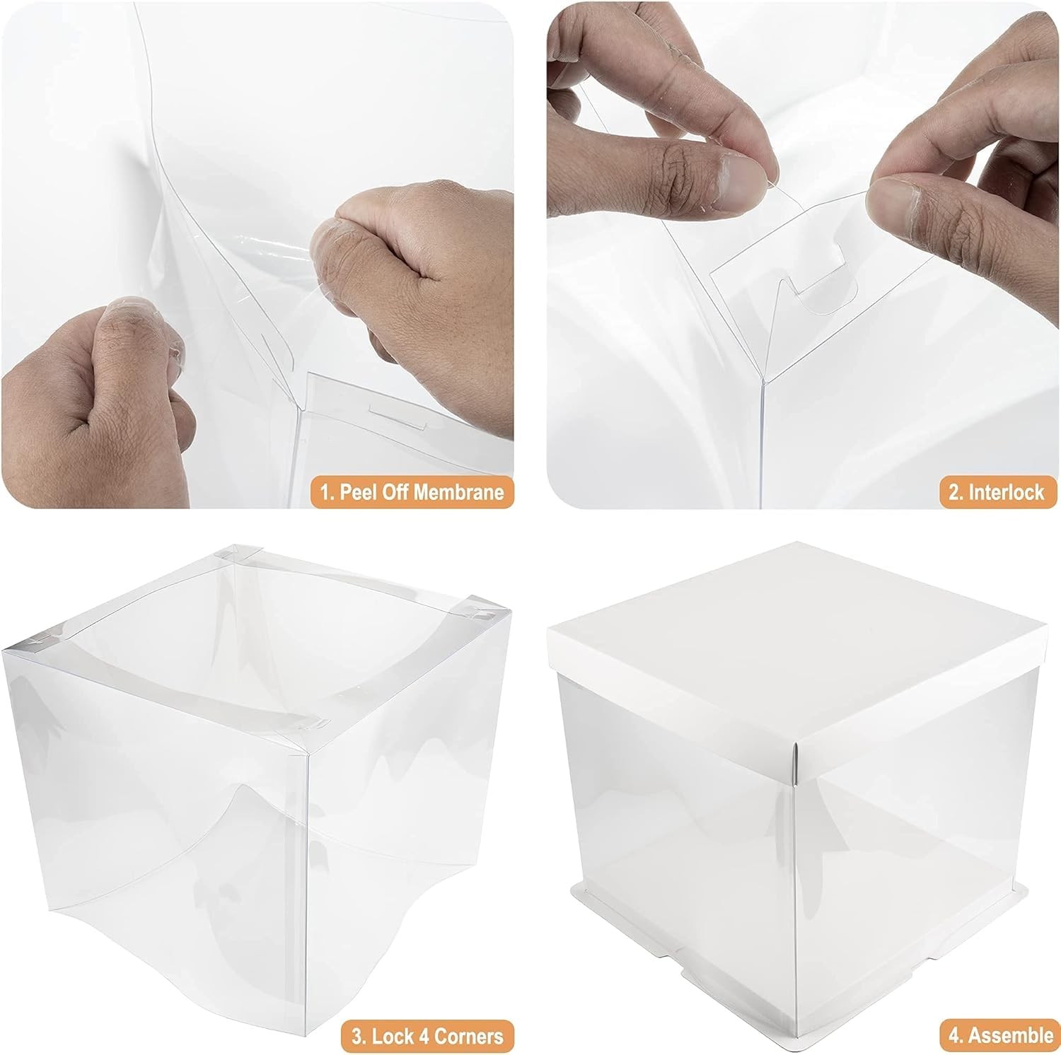 BOARDS+ 10 Inch Clear Cake Boxes (8 Pack) + Satin White Ribbon | Sturdy Beaut…