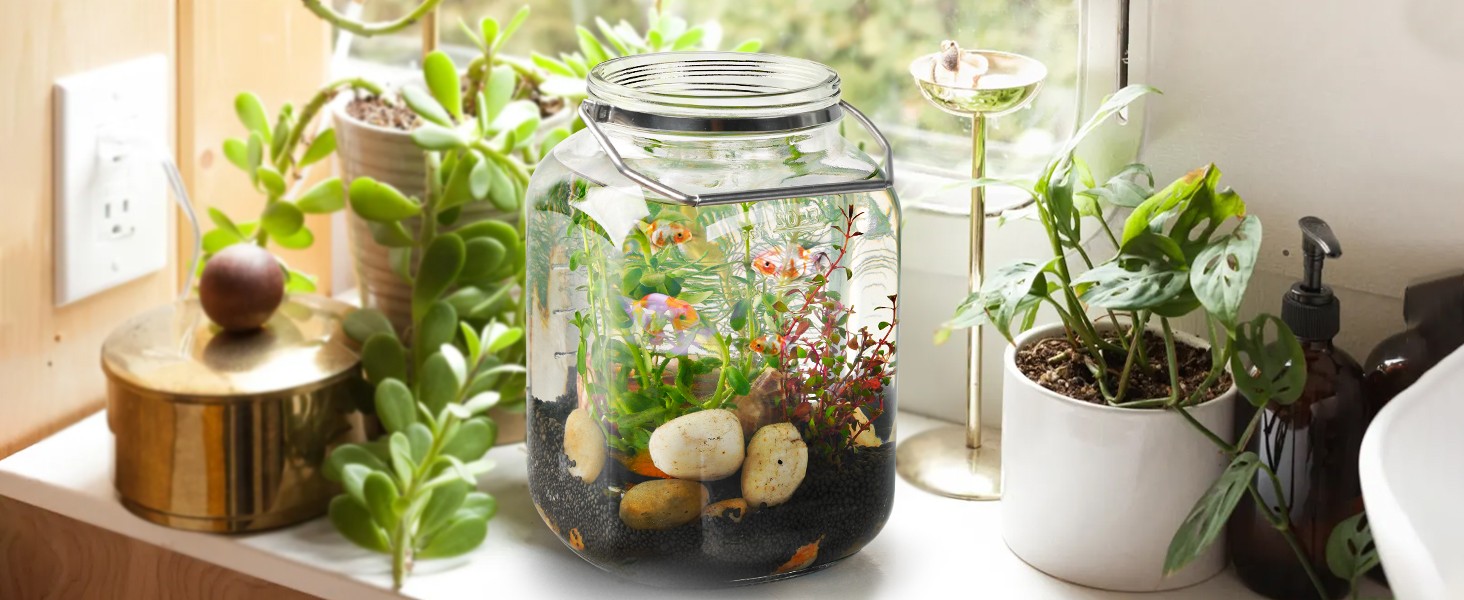 1.5 Gallon Glass Jar with airtight Lid, 2 Pack Wide Mouth Mason Jars with Sturdy