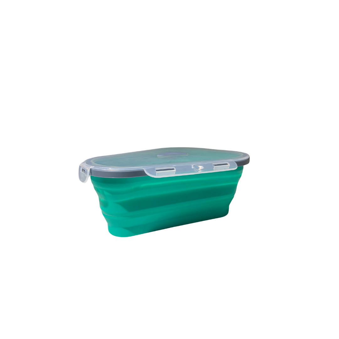 EXPANDABLE SILICONE PIZZA CONTAINER:HIGH QUALITY LEFTOVER PIZZA STORAGE-PORTABLE