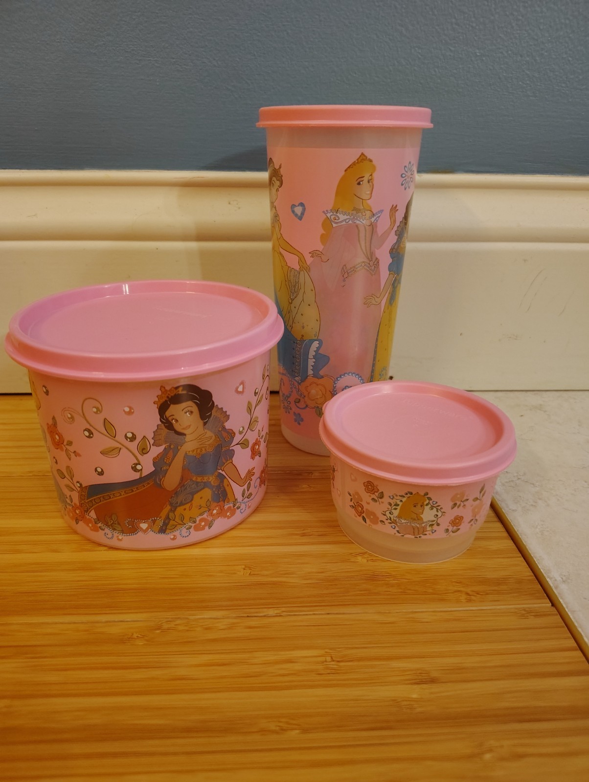Three piece Tupperware Disney Princess Canister Set 20oz, 16 oz, and 4oz pieces