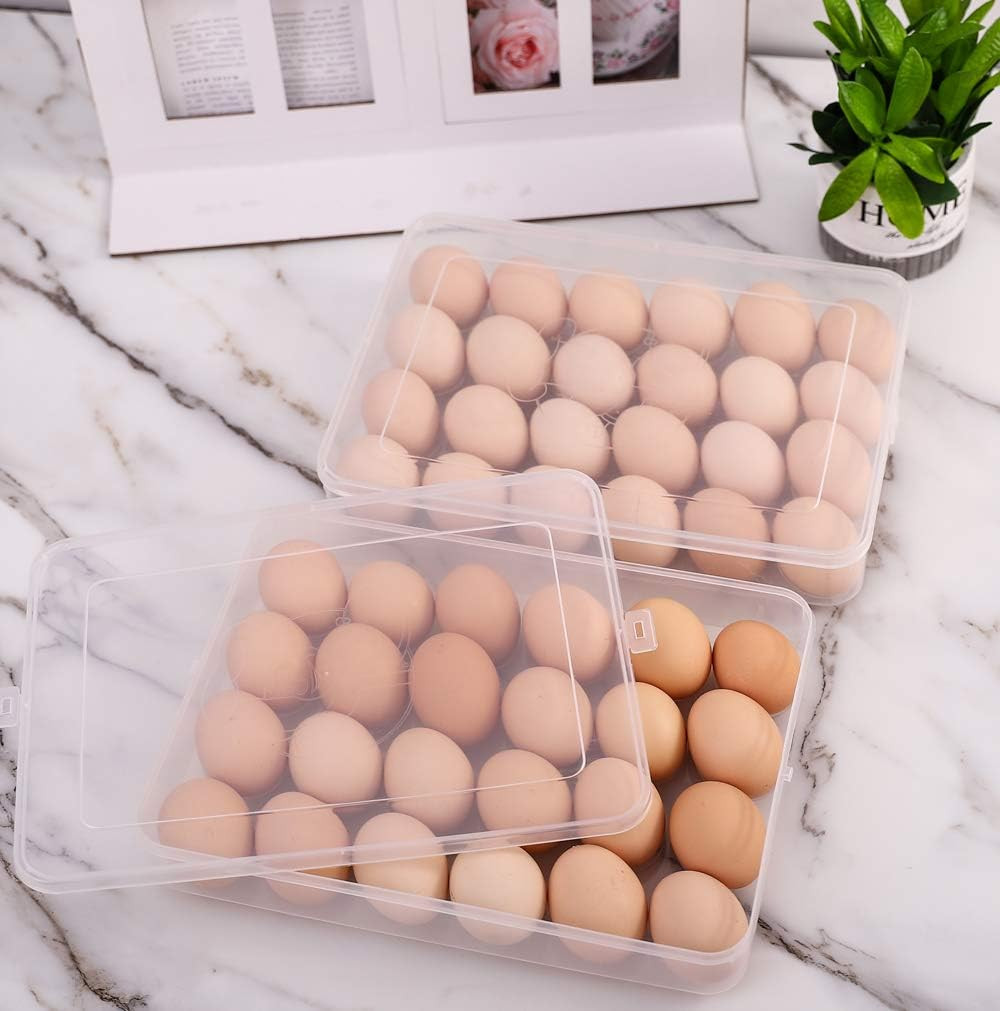 2 Pack Covered Egg Holders for Refrigerator,Clear 2X24 Deviled Egg Tray Storage