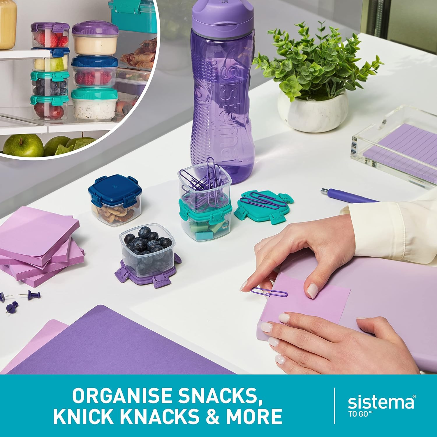 to Go Collection Mini Knick Knack Snack Container, 2 Oz./60 Ml, Pink/Green/Blue/