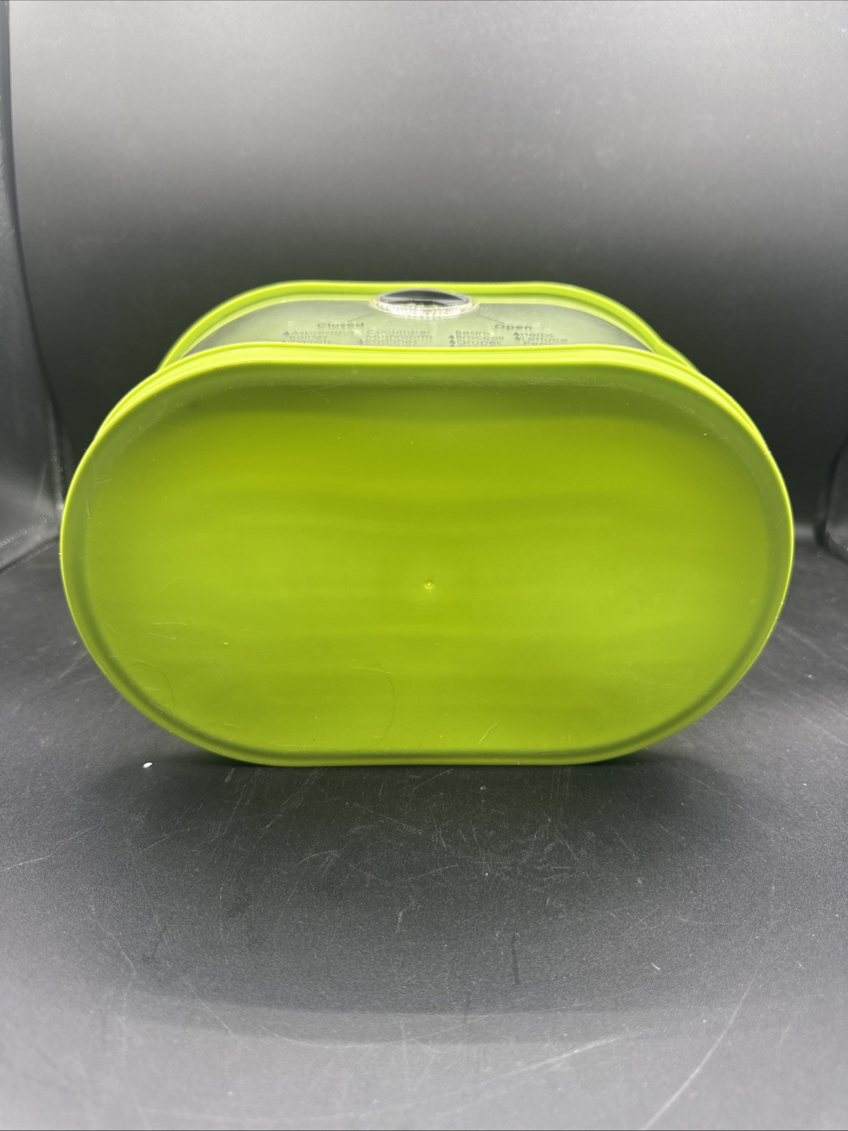 Progressive Lettuce/Vegetable Keeper/Colander, 4.7 Quarts, Green Preowned