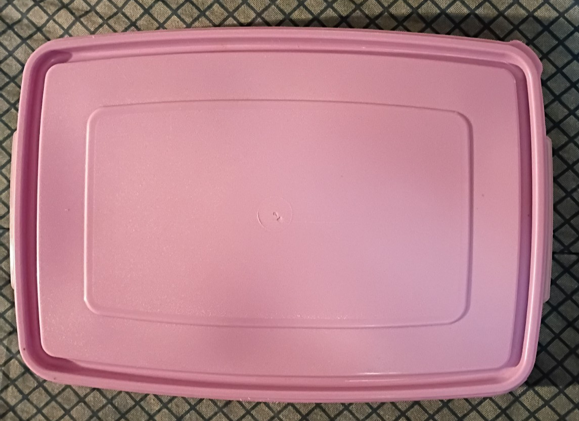 Rubbermaid Servin’ Saver Deviled Egg Keeper Container #0070 #7 Lid