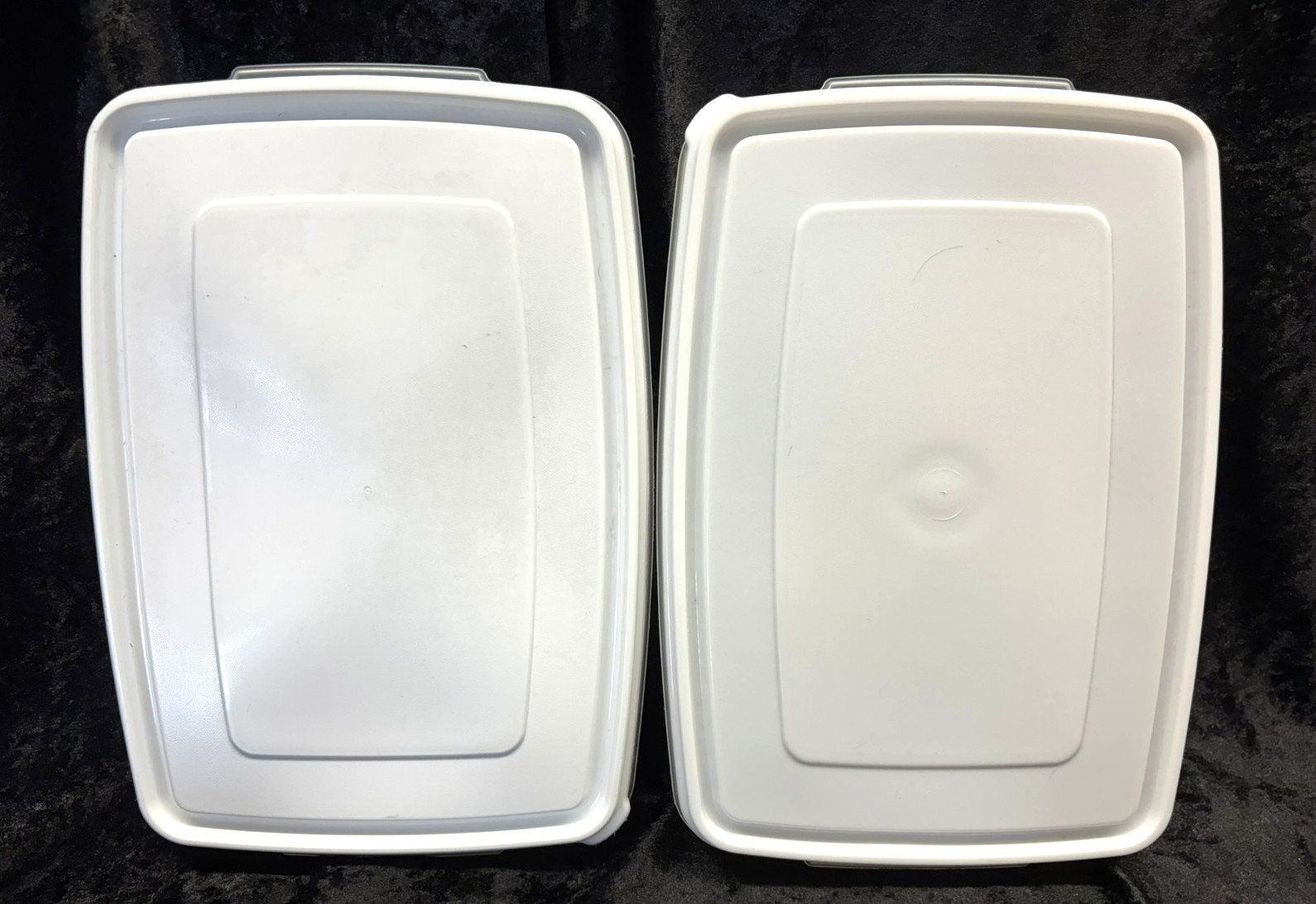 2 Rubbermaid Servin Saver 20 Deviled Egg Keeper Storage Containers with Lids