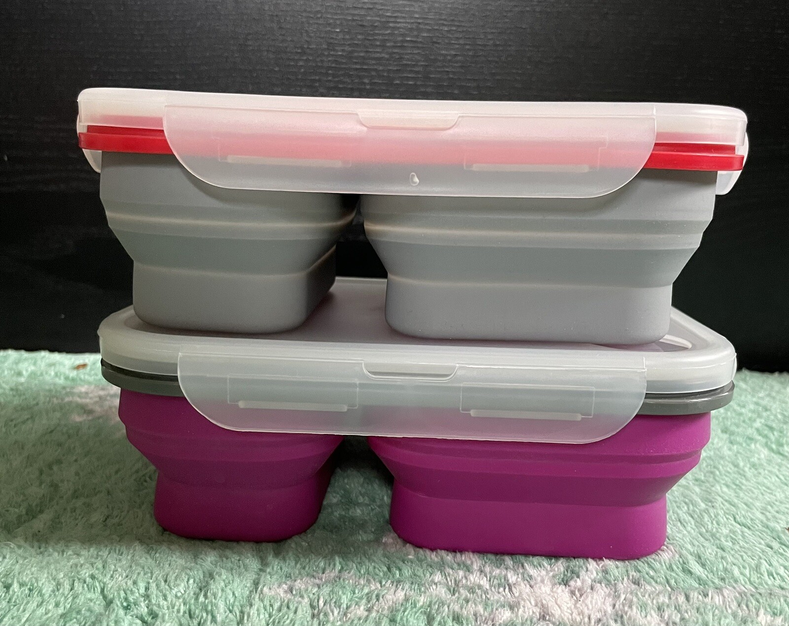 NEW Avalanche And Eco One Divided Collapsable Silicone Food Containers