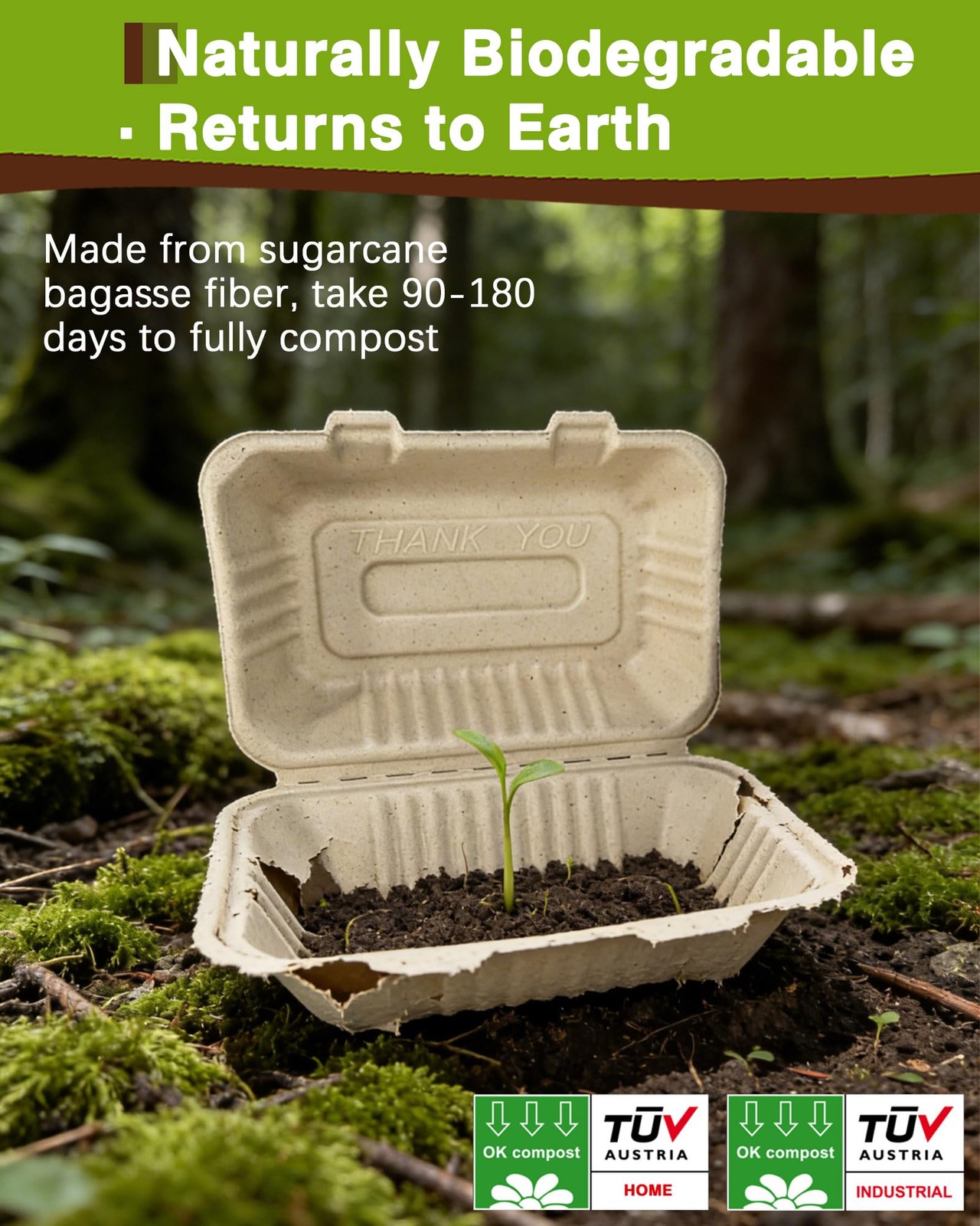 50 Pack 9×6 Inch Compostable Clamshell Containers, Biodegradable To Go Boxes …