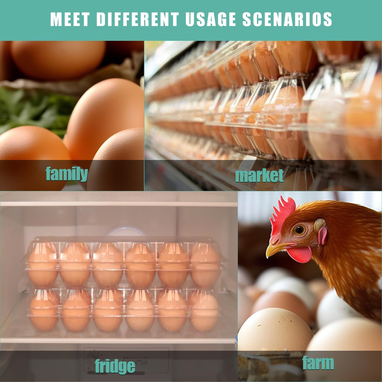 60 Packs 12 Count Clear Egg Cartons, 2 * 6 Grids Design, Perfect for Family, …