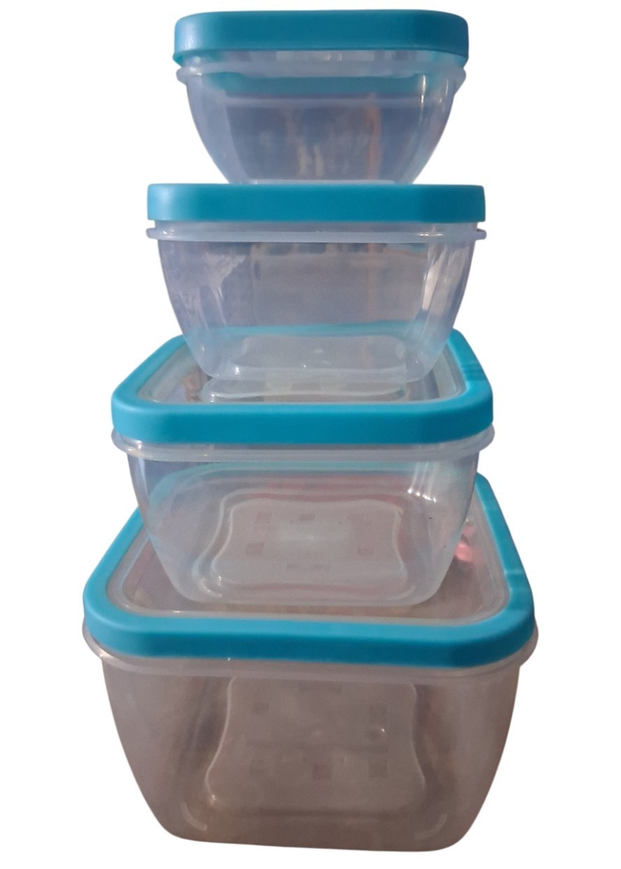 Food Storage With Lids 4 Pc Set Various Sizes