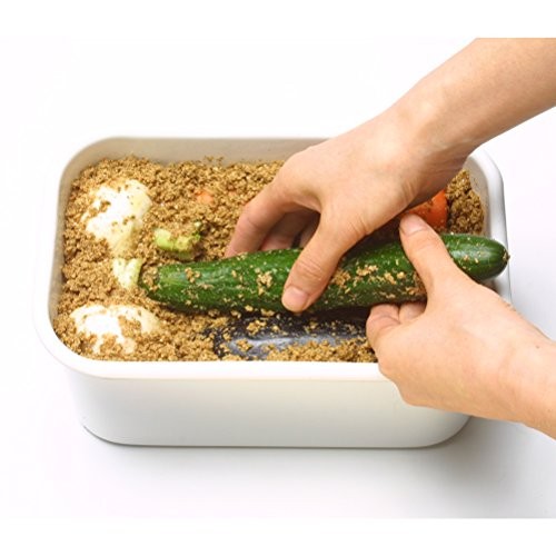 Noda Horo Enamel Bran Pickles Beauty Tk-32 Japan Import