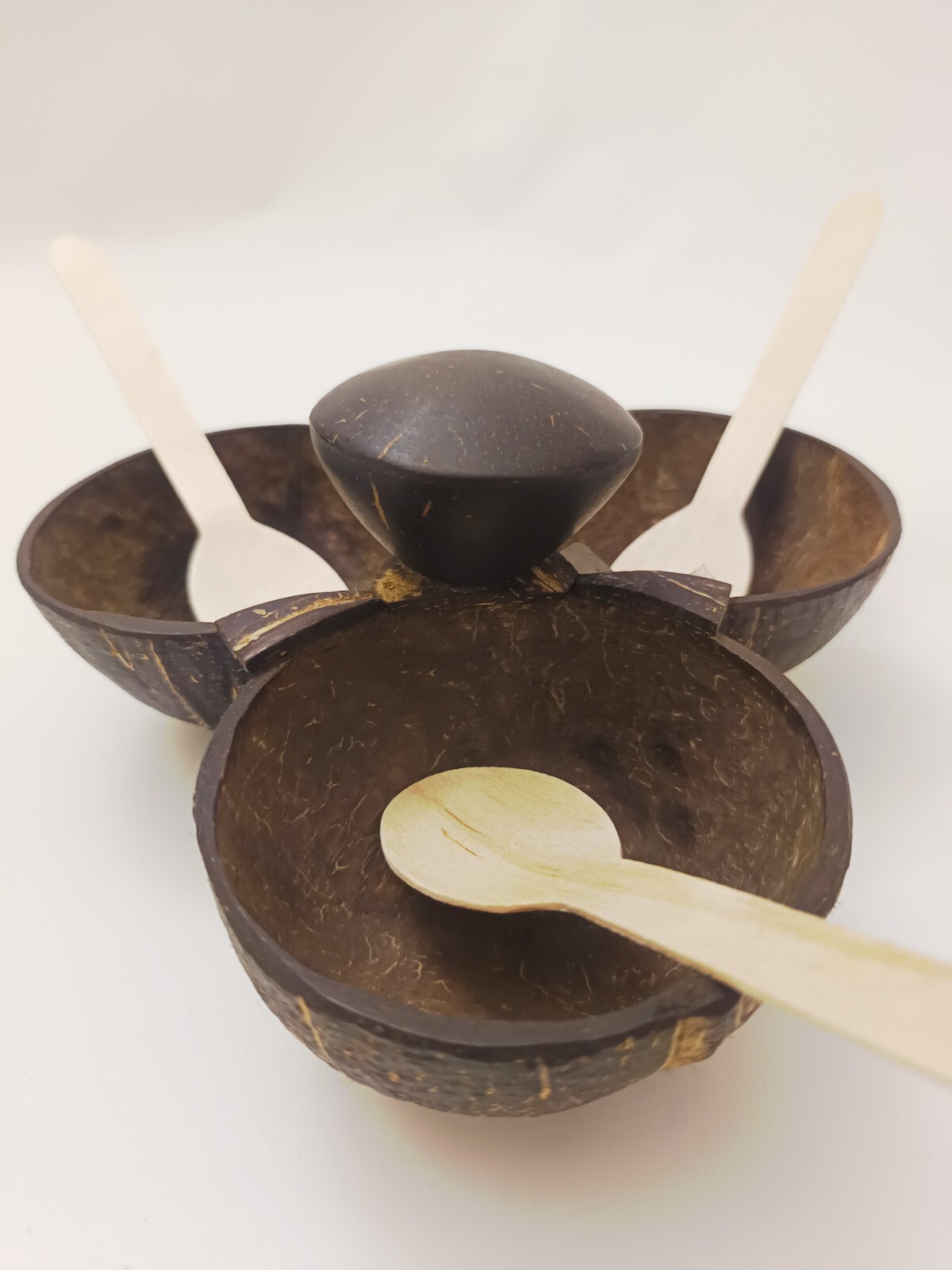 3 in 1 Coconut Shell Thook/Container