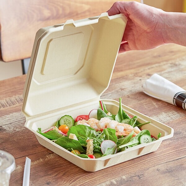 50 count 1-Comp Box Clamshell to go take-out Food Containers 9×9