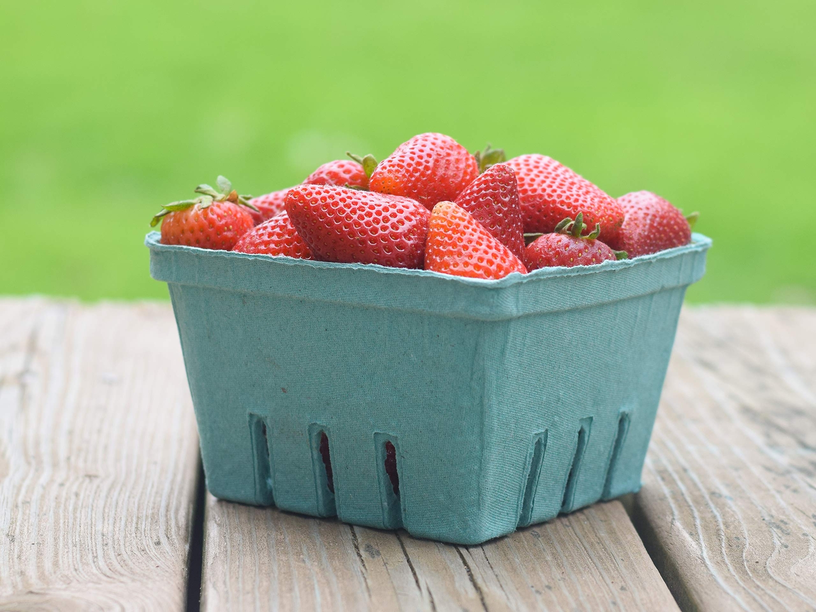 Quart Green Molded Pulp Fiber Berry/produce Vented Basket 20 Pieces