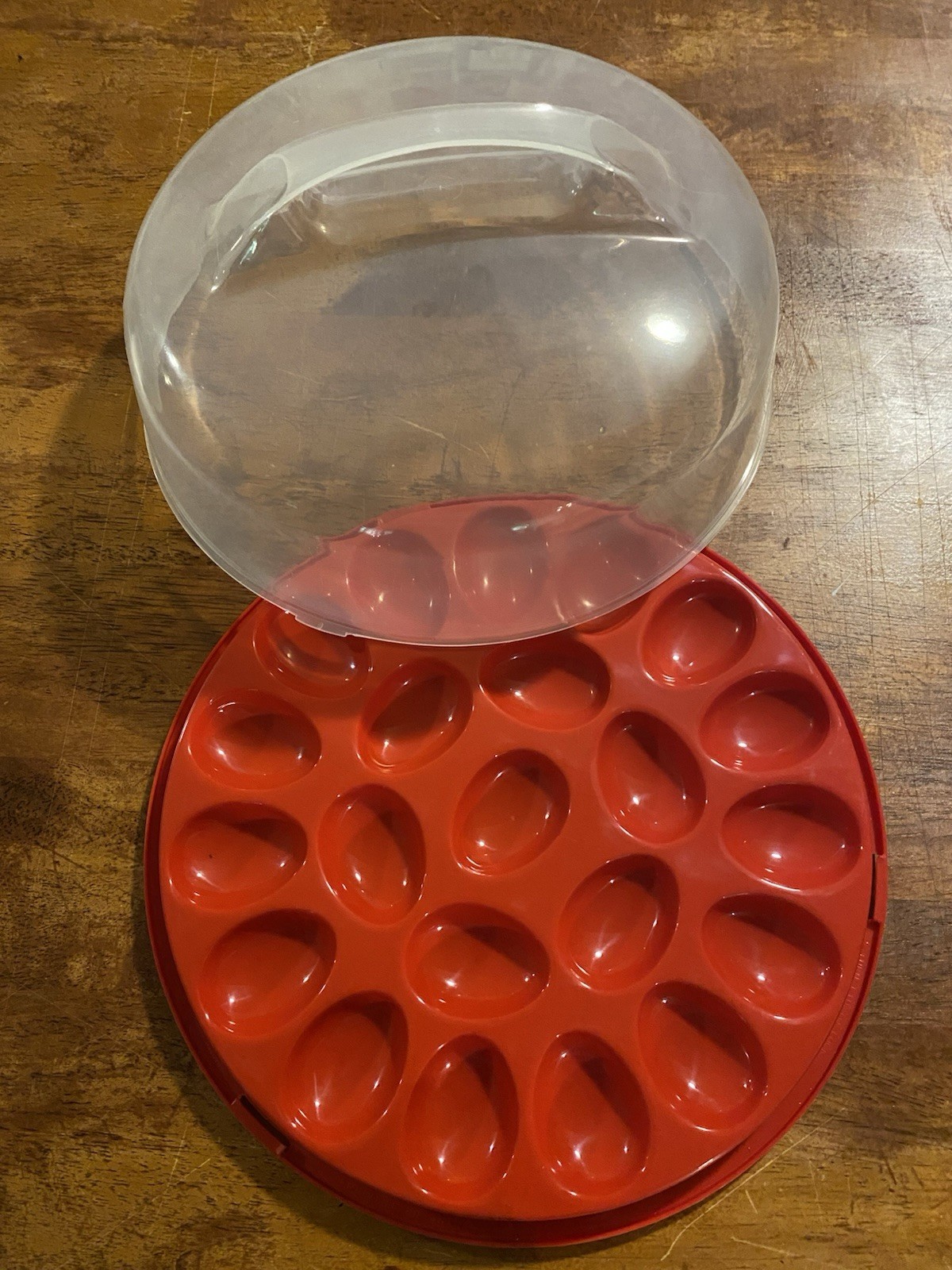Rubbermaid Deviled Egg Holder Server Storage Keeper Container with Lid