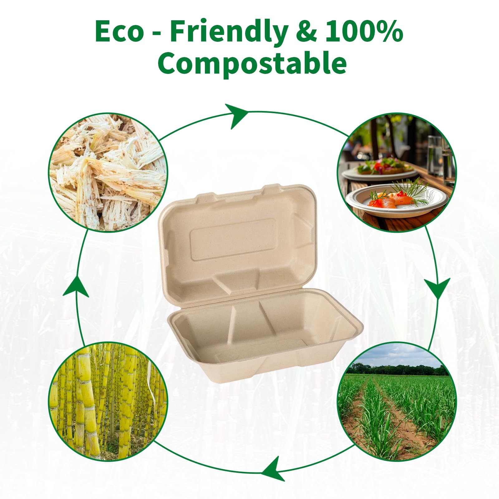 Compostable 50 Pack 9×6 Inch Takeout Lunch Containers with Lid To Go Take Out…