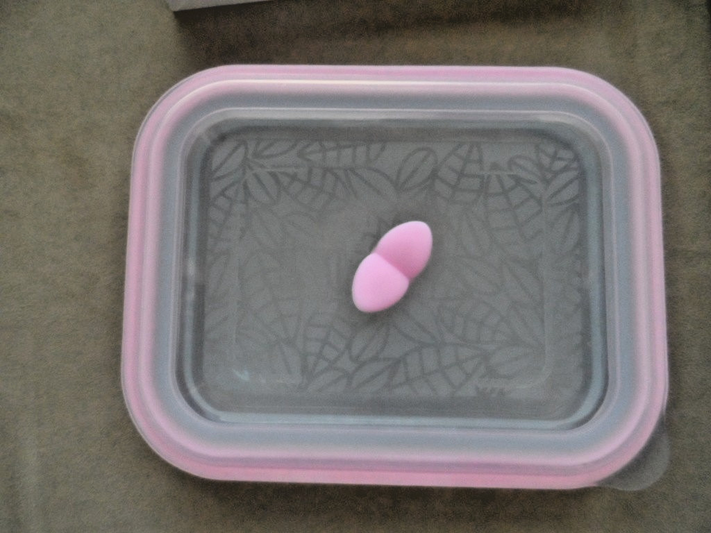 PRISTAIN Orchid Pink 1500 ml Collapsible Food Box Silicone Cook n Serve ECO