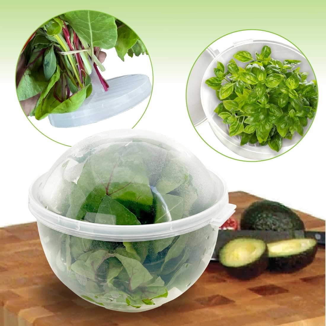 Trenton Gifts Lettuce And Vegatable Storage 7 inches by 8 inches, Clear