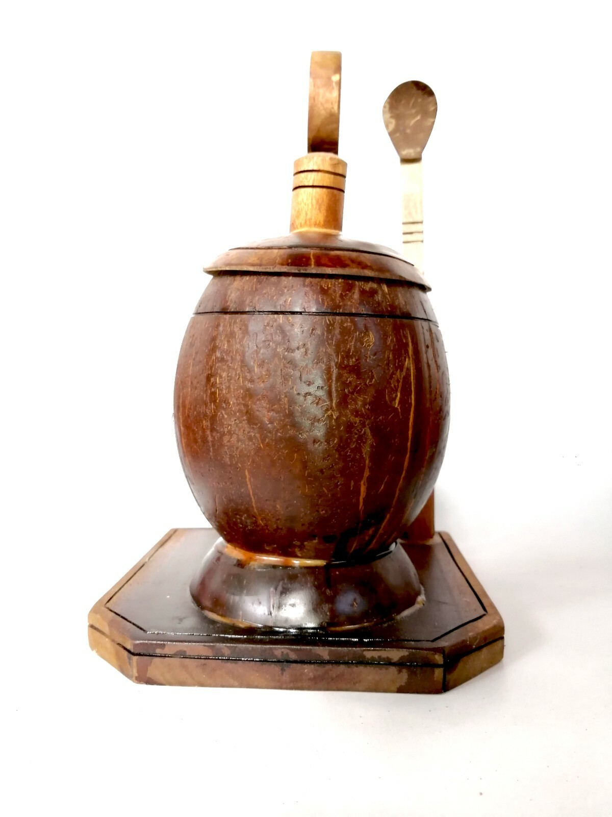 Coconut Shell SALT CONTAINER & Coconut Shell Spoon Organic Handmade Natural