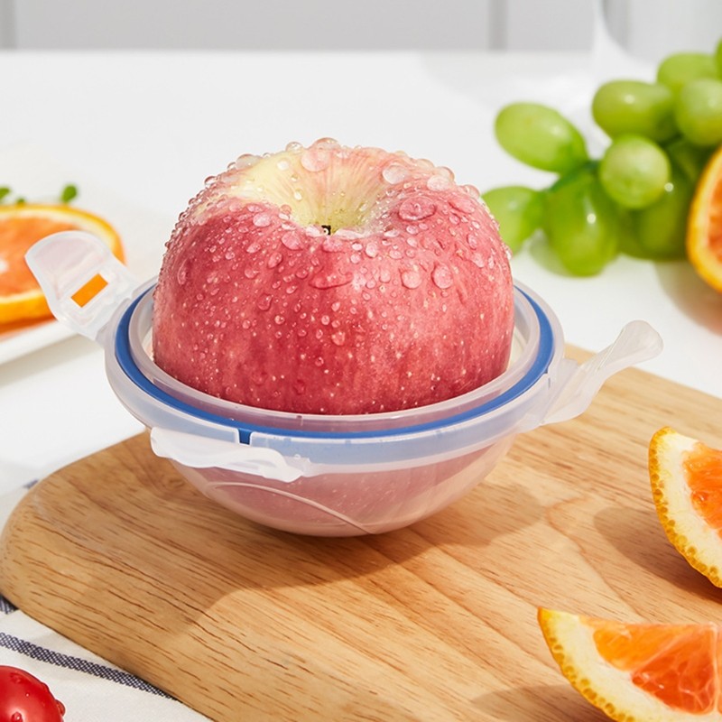 Small Vegetable Fruit Storage Container for Fresh Tomatoes Onion for Blueb