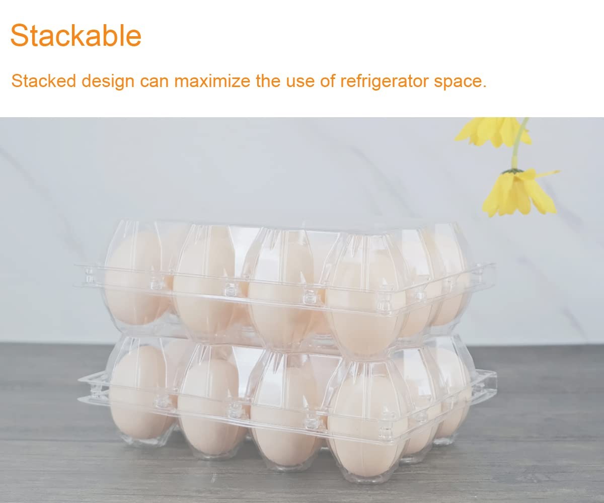 BULKBUY Egg Cartons Cheap Bulk 60 Packs, Clear Plastic Blank Egg Cartons with Fr