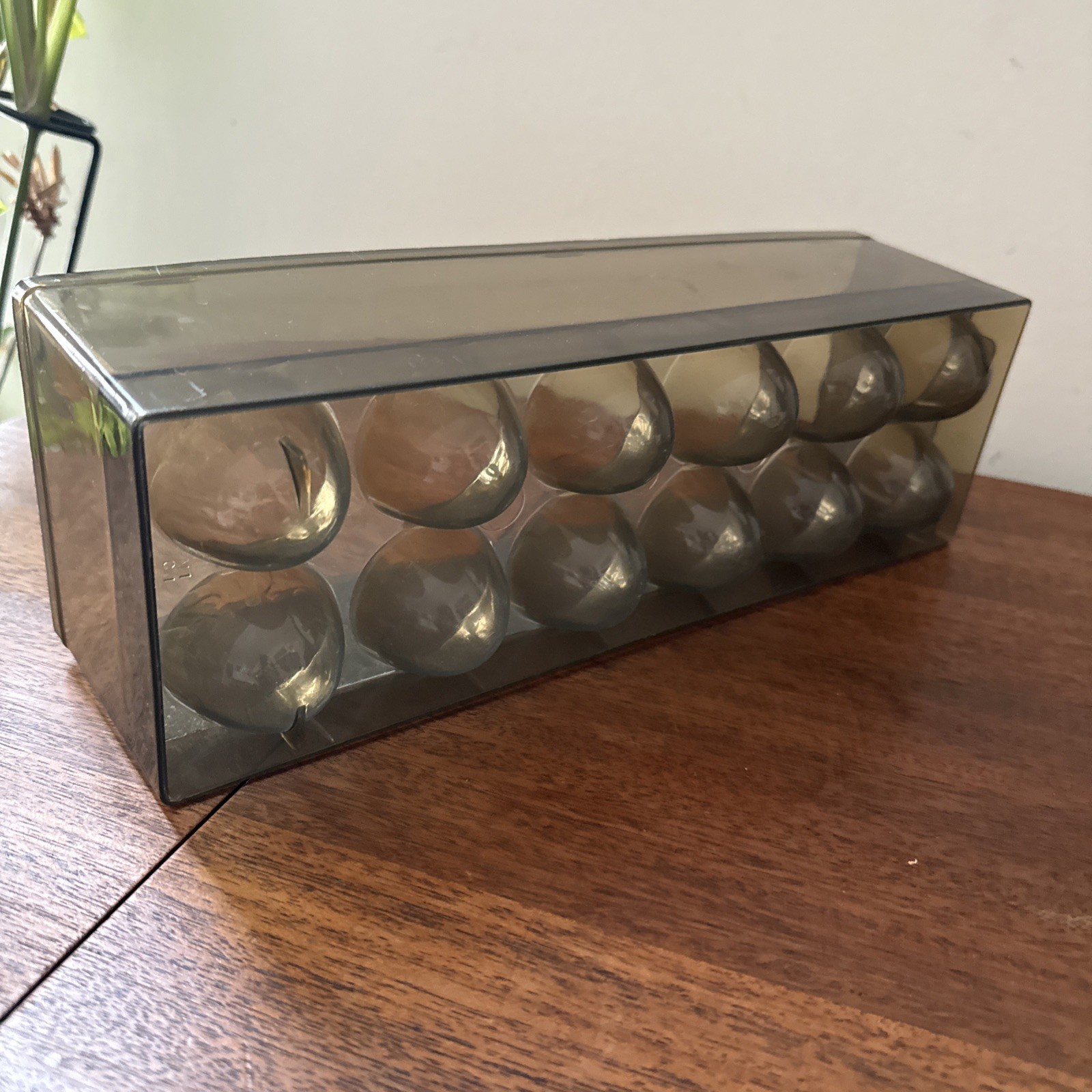 Vintage Egg Fridge Container Refrigerator 70s 80s Plastic Brown Eggs Gift Prop
