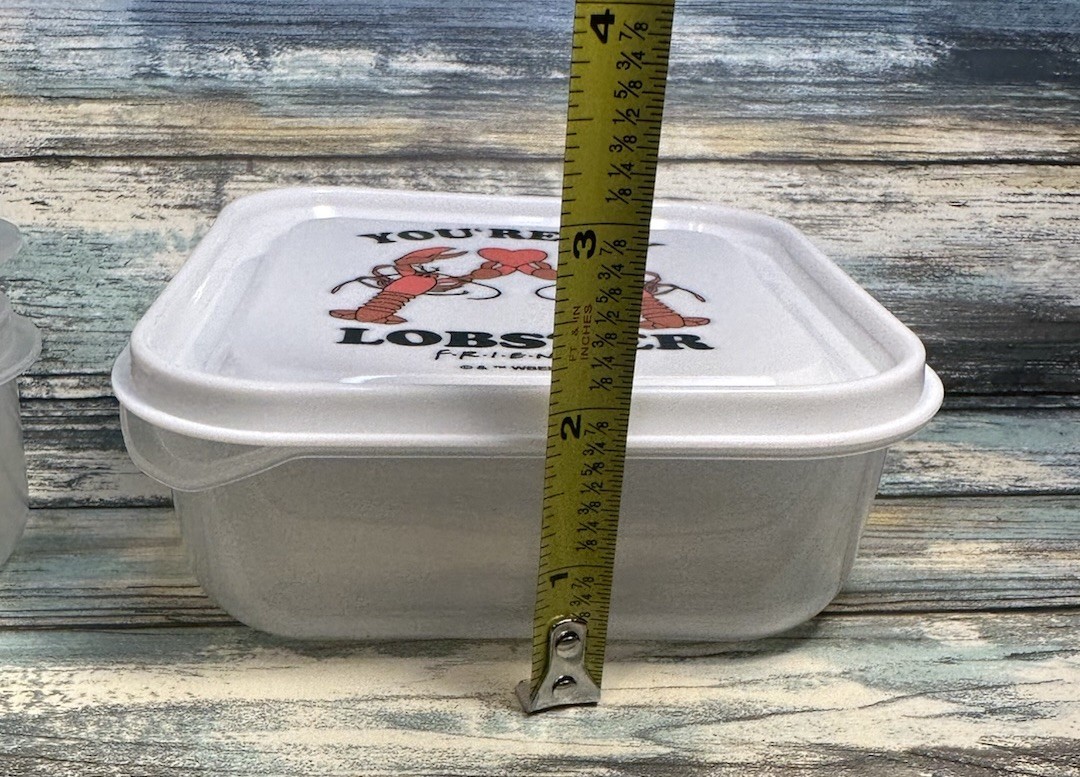 NEW FRIENDS You’re My Lobster Set of 3 Food/Sandwich Storage Containers 5×5