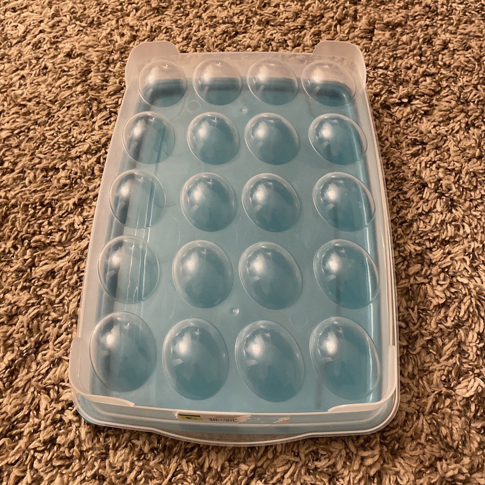plastic egg container – Holds 20 Eggs