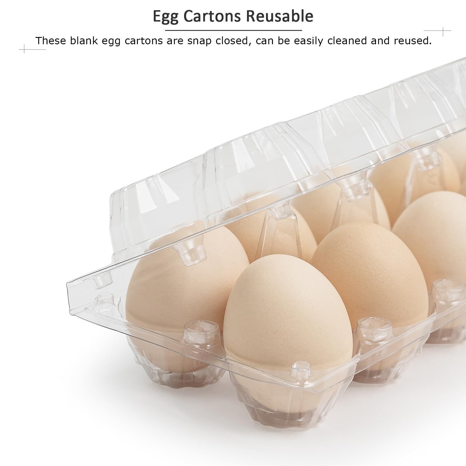 48 Pack Egg Cartons Cheap Bulk 12 Count 1 Dozen Clear Empty Chicken Egg Carto…