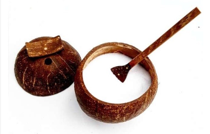 Eco Friendly Natural Coconut Shell Sea Salt Container with Mini Spoon