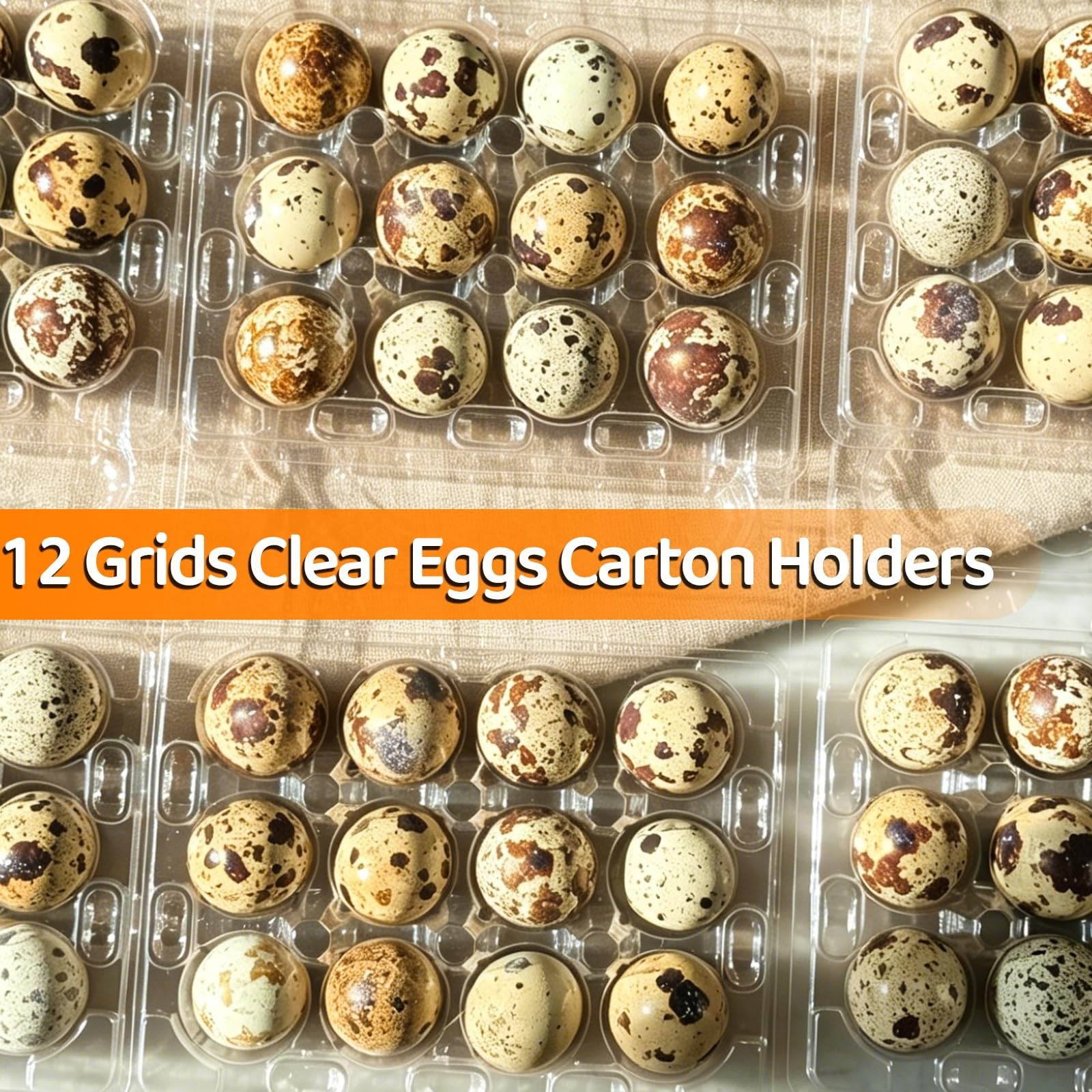 50 PCS Plastic Quail Egg Cartons 12 Grids Small Eggs Storage Holders