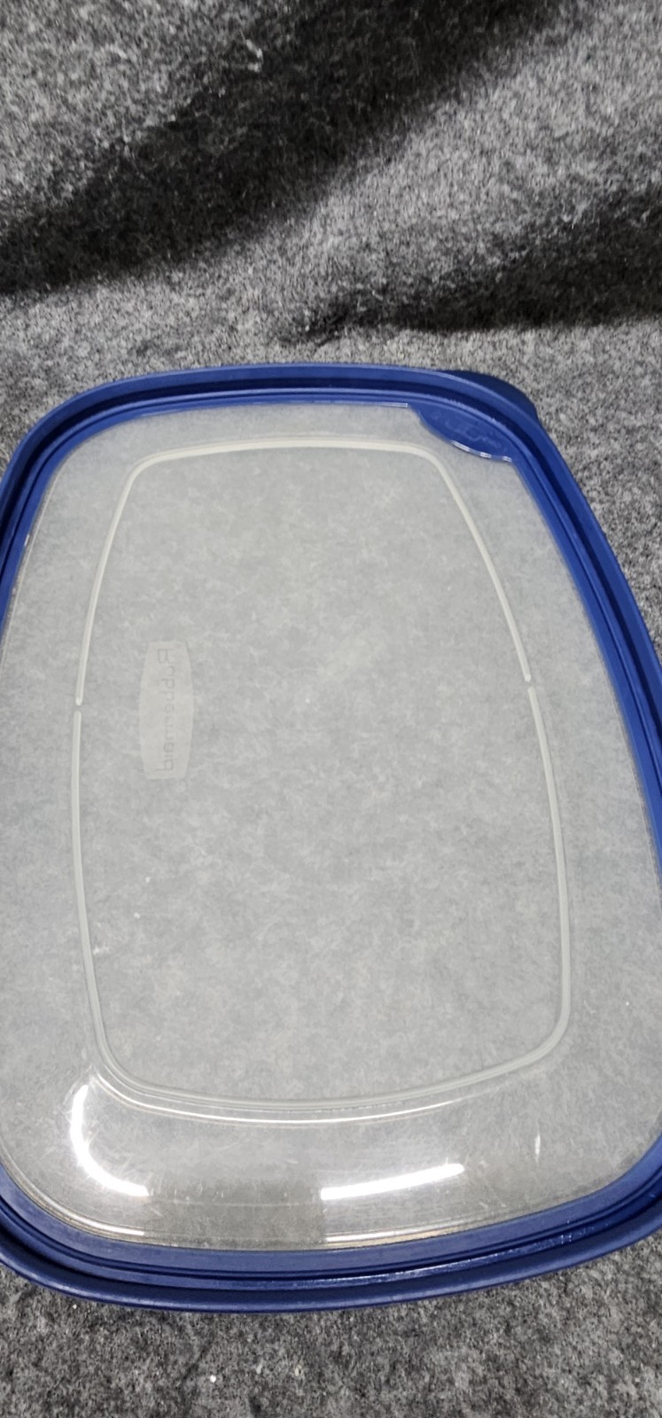 Rubbermaid 4-Liter “E” Container 1.1 Gallon Clear Blue Rim Lids Rectangular