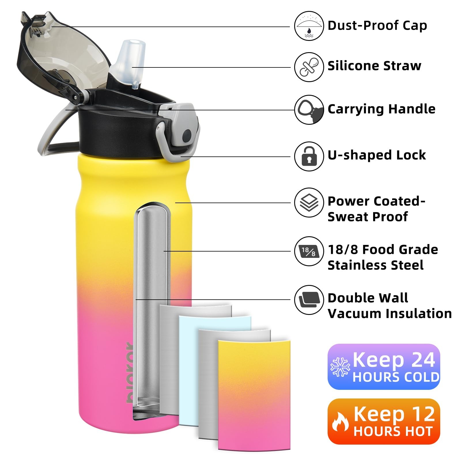 Bjpkpk Stainless Steel Insulated Water Bottle Straw Lid 18Oz Reusable Metal