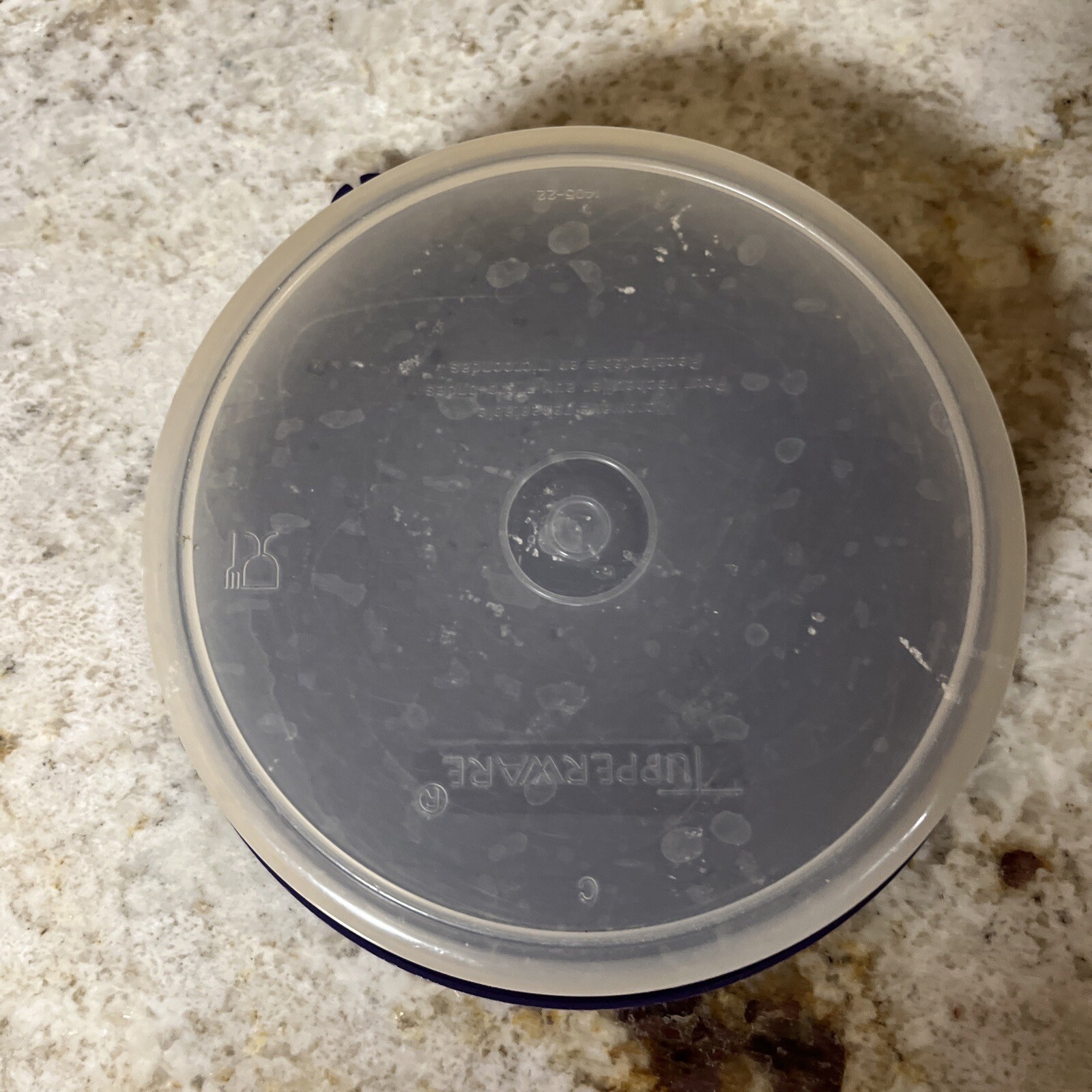 NEW Tupperware Clear Cereal Ice Cream Bowls with Purple Lids (SU106)